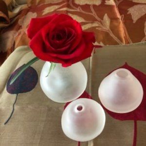 Hermes bud vases